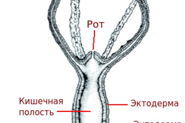 Mega darknet ссылка