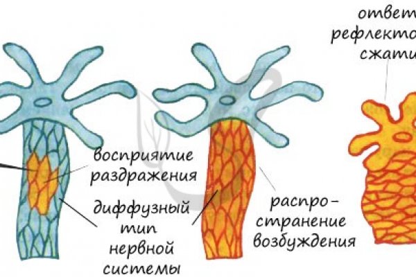 Кракен купить порошок