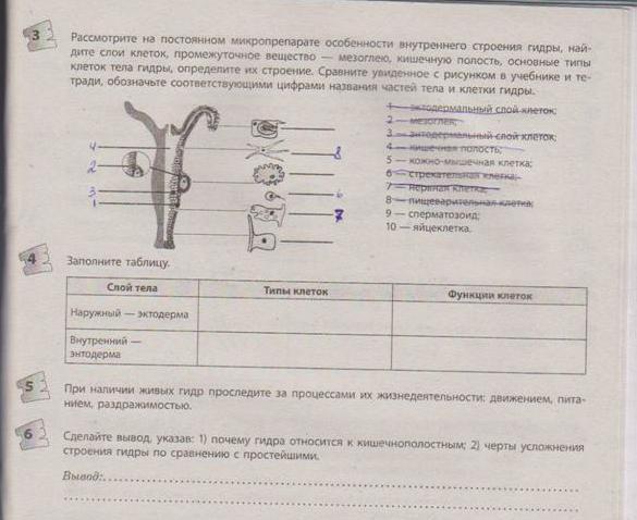 Что за кракен маркет