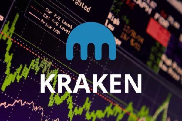 Kraken 24 top